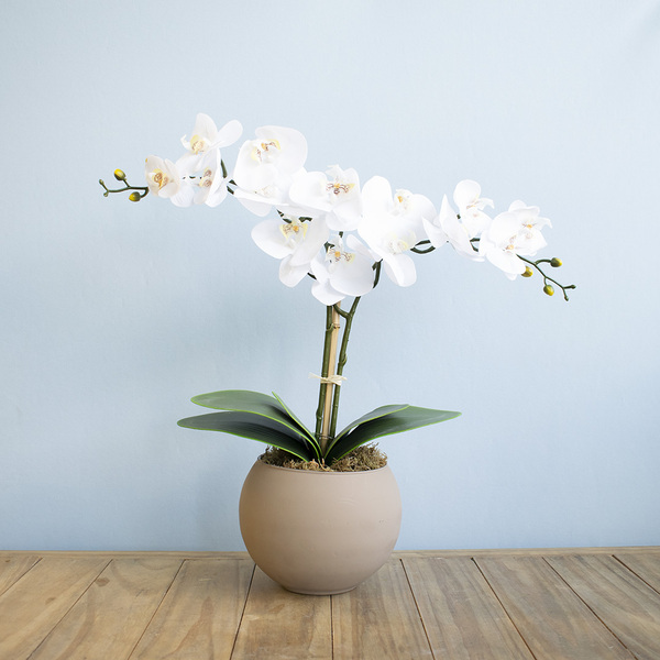 Arranjo Orquídea De Silicone Branca No Vaso Fendi | Formosinha